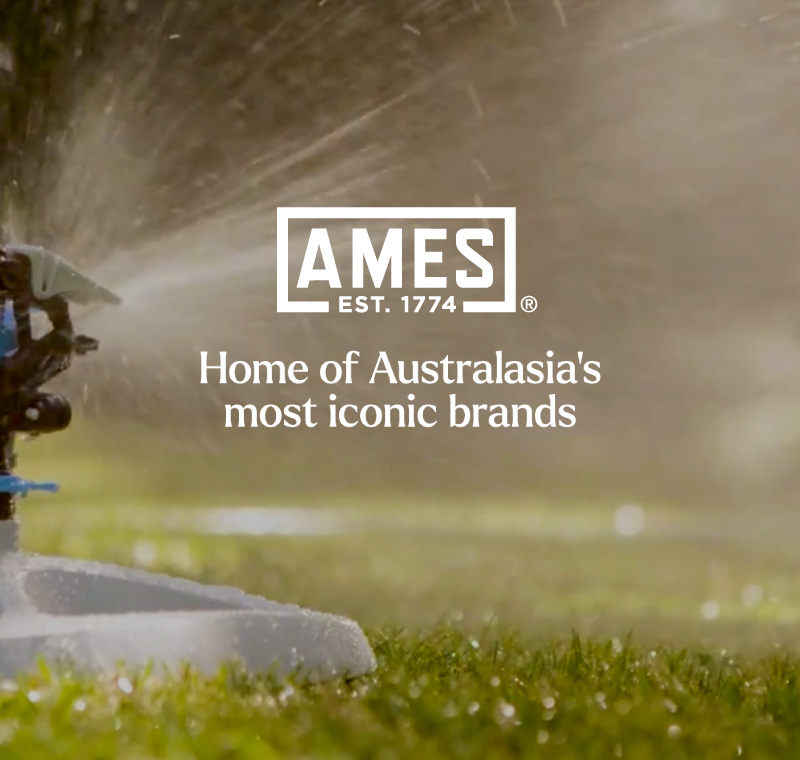AMES Australasia