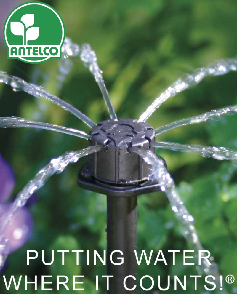 Antelco